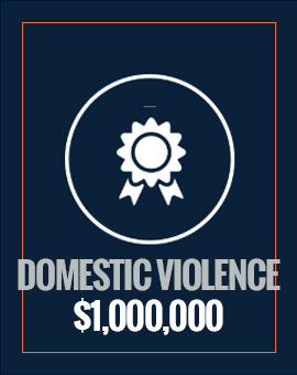 $1,000,000 domestic violence
