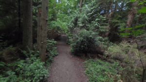 Meadowdale Beach Park Lynnwood WA