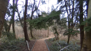 Scriber Lake Park Lynnwood WA